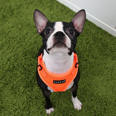 Puppia Neon Soft Harness Ritefit II Orange hondentuig > honden harnas > model A Small