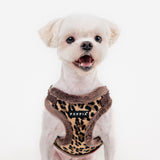 Puppia Wild Harness model C Brown