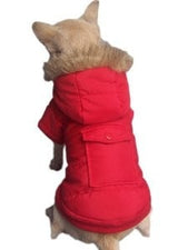 Winterjasje rood - Premium Hondenkleding > hondenjas from Frenkiezdogshop - Just €14.99! Shop now at Frenkiezdogshop