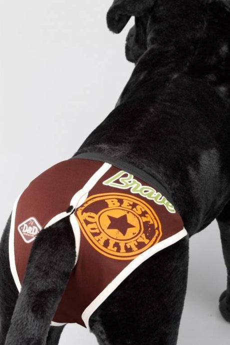 D&D dog pants periodebroekje BRAVE - Premium Loopsheidbroek > Periodebroekje from Frenkiezdogshop - Just €9.99! Shop now at Frenkiezdogshop