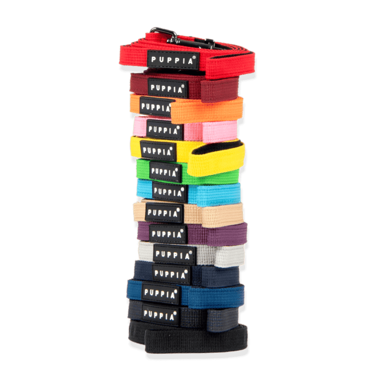 Puppia Two Tone Violet hondenriem > hondenlijn Small