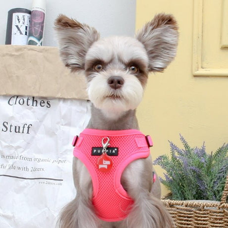 Puppia Neon Soft harness Model C Pink hondentuig > honden harnas > model C Small