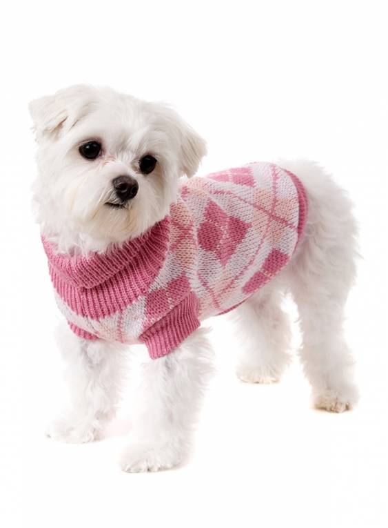 Urban Pup Pink Argyle Sweater - Premium Hondenkleding > Hondentrui from Urban Pup - Just €24.99! Shop now at Frenkiezdogshop