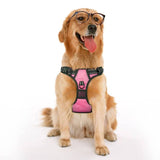 Frenkiez reflective no pull lockable dog harness LED pink ( TWEEDEKANS ) - Premium hondentuig > honden harnas from Frenkiez - Just €19.99! Shop now at Frenkiezdogshop