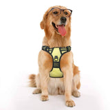 Frenkiez reflective no pull dog Y harness yellow/green ( XS & XL ) - Premium hondentuig > honden harnas from Frenkiez - Just €19.99! Shop now at Frenkiezdogshop