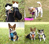 Frenkiez reflective no pull lockable dog harness LED black ( TWEEDEKANS ) - Premium hondentuig > honden harnas from Frenkiez - Just €19.99! Shop now at Frenkiezdogshop