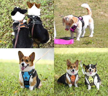 Frenkiez reflective no pull lockable dog harness LED pink ( TWEEDEKANS ) - Premium hondentuig > honden harnas from Frenkiez - Just €19.99! Shop now at Frenkiezdogshop