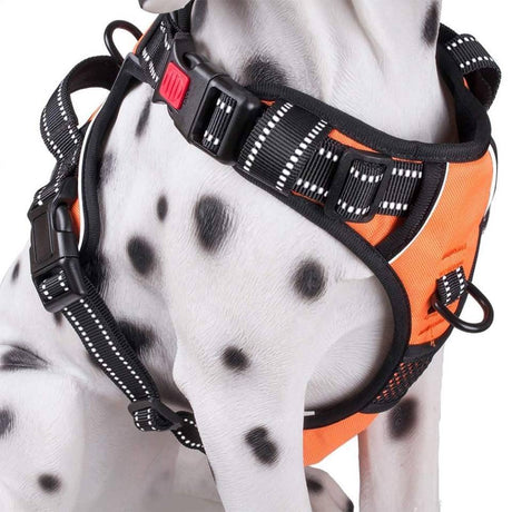 Frenkiez reflective Y tuig dog harness orange - Premium hondentuig > honden harnas from Frenkiez - Just €19.99! Shop now at Frenkiezdogshop