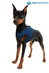 Animal Gear Aqua Coolkeeper Comfy Harness - Premium Cooling > Koelvest from Doxtasy/Animal Gear - Just €14.99! Shop now at Frenkiezdogshop