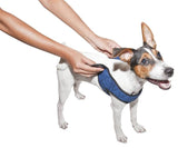 Animal Gear Aqua Coolkeeper Comfy Harness - Premium Cooling > Koelvest from Doxtasy/Animal Gear - Just €14.99! Shop now at Frenkiezdogshop