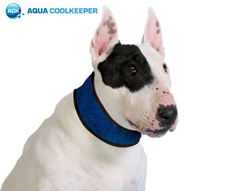 Animal Gear Aqua Coolkeeper Cooling Collar - Premium Cooling > Koelvest from Doxtasy/Animal Gear - Just €5.99! Shop now at Frenkiezdogshop