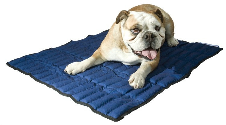 Animal Gear Aqua Coolkeeper Cooling Mat - Premium cooling > koelmat from Doxtasy/Animal Gear - Just €15.99! Shop now at Frenkiezdogshop