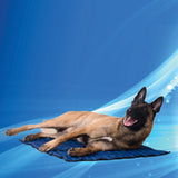 Animal Gear Aqua Coolkeeper Cooling Mat - Premium cooling > koelmat from Doxtasy/Animal Gear - Just €15.99! Shop now at Frenkiezdogshop