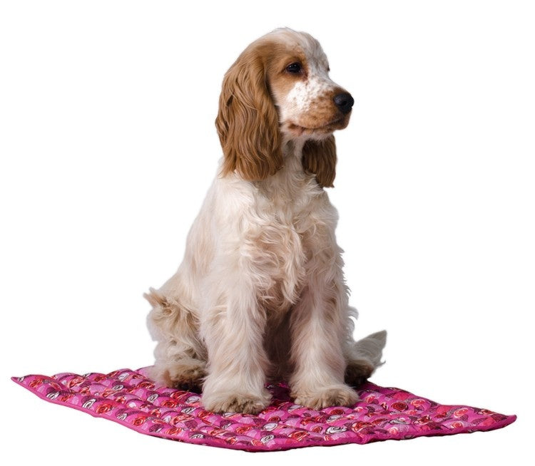 Animal Gear Aqua Coolkeeper Cooling Mat - Premium cooling > koelmat from Doxtasy/Animal Gear - Just €15.99! Shop now at Frenkiezdogshop