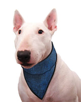 Animal Gear Aqua Coolkeeper Bandana - Premium Cooling > Koelvest from Doxtasy/Animal Gear - Just €10.99! Shop now at Frenkiezdogshop