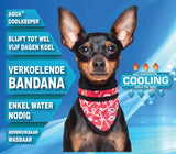 Animal Gear Aqua Coolkeeper Bandana - Premium Cooling > Koelvest from Doxtasy/Animal Gear - Just €10.99! Shop now at Frenkiezdogshop