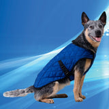 Animal Coolkeeper Pet Jacket - Premium cooling > koelvest from Doxtasy/Animal Gear - Just €21.99! Shop now at Frenkiezdogshop