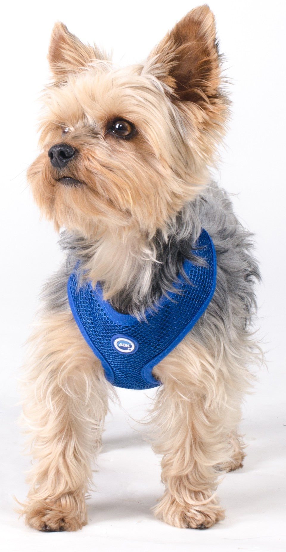 Aqua Cool Keeper RoundLoop Tuigje - Premium cooling > koelvest from Doxtasy/Animal Gear - Just €17.99! Shop now at Frenkiezdogshop