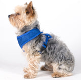 Aqua Cool Keeper RoundLoop Tuigje - Premium cooling > koelvest from Doxtasy/Animal Gear - Just €17.99! Shop now at Frenkiezdogshop