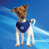 Aqua Cool Keeper RoundLoop Tuigje - Premium cooling > koelvest from Doxtasy/Animal Gear - Just €17.99! Shop now at Frenkiezdogshop