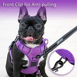 Frenkiez  Y tuig dogharness reflective Purple ( matching straps ) - Premium hondentuig > honden harnas from Frenkiez - Just €34.99! Shop now at Frenkiezdogshop