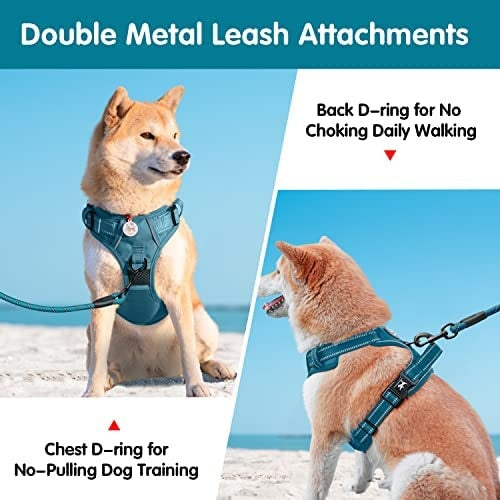 Frenkiez Y tuig dogharness reflective Petrol Blue ( matching straps ) - Premium hondentuig > honden harnas from Frenkiez - Just €34.99! Shop now at Frenkiezdogshop