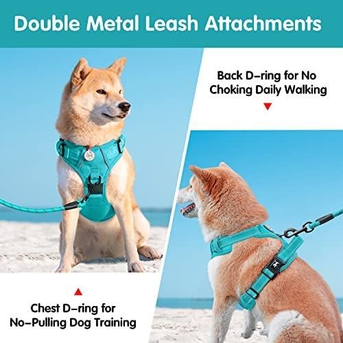 Frenkiez Y tuig dogharness reflective Mint Blue ( matching straps ) - Premium hondentuig > honden harnas from Frenkiez - Just €34.99! Shop now at Frenkiezdogshop