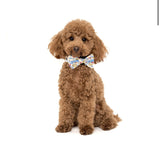 Big and Little Dogs Halsband Rubber Ducky ( SMALL ) - Premium halsband > hondenhalsband from Big and Little Dogs - Just €15.99! Shop now at Frenkiezdogshop