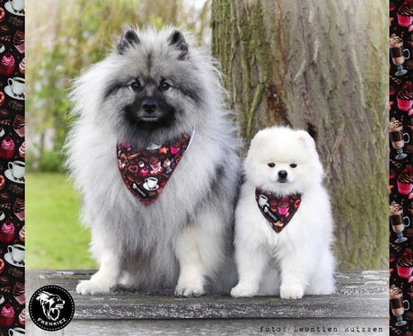 Frenkiez Cooling Bandana Coffee Sprinkles Hondenkleding > bandana Small