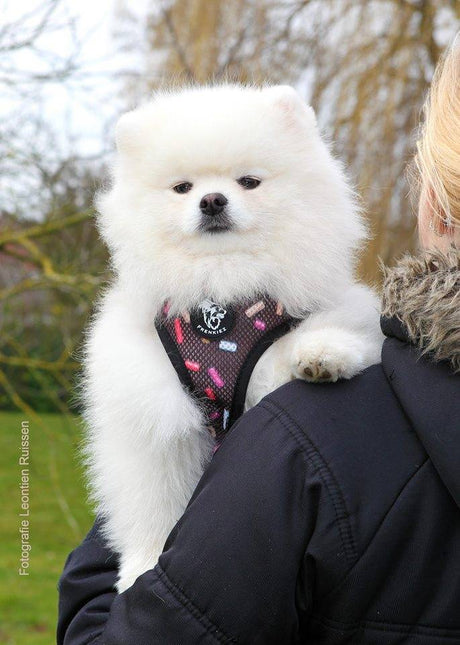 Frenkiez Reversible Harness Coffee Sprinkles hondentuig > honden harnas > model A X - Small