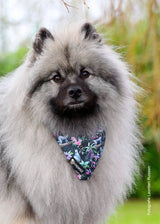 Frenkiez Cooling Bandana Maki Flower - Premium Hondenkleding > bandana from Frenkiez - Just €5.99! Shop now at Frenkiezdogshop