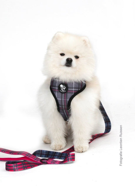 Frenkiez Reversible Harness BarkBerry red hondentuig > honden harnas > model A X - Small
