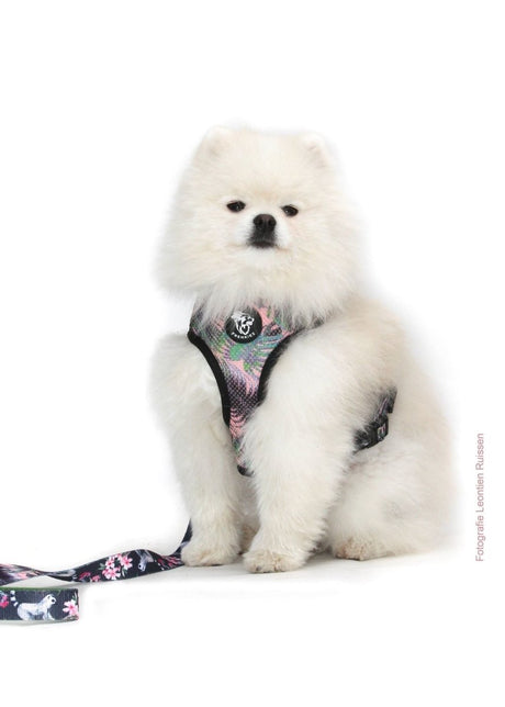 Frenkiez Reversible Harness Maki Flower hondentuig > honden harnas > model A X - Small