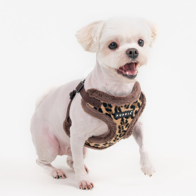 Puppia Wild Harness model C Brown