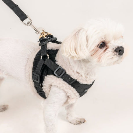 Puppia Winterstride Vest Harness NB Black hondentuig > honden harnas > model B Small
