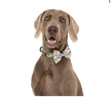 Big and Little Dogs Halsband Rubber Ducky ( SMALL ) - Premium halsband > hondenhalsband from Big and Little Dogs - Just €15.99! Shop now at Frenkiezdogshop