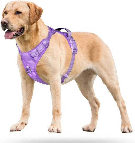 Frenkiez Y tuig dogharness reflective Lila ( matching straps ) hondentuig > honden harnas > Y tuigen Small