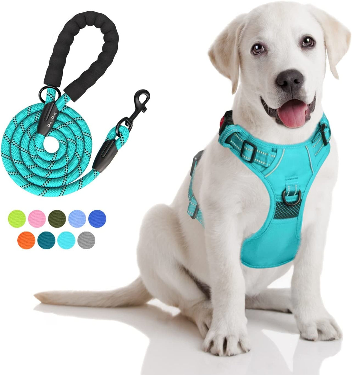 Frenkiez reflective dog leash Mint Blue - Premium hondenriem > hondenlijn from Frenkiez - Just €18.99! Shop now at Frenkiezdogshop