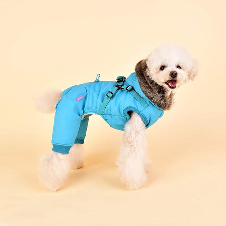 Pinkaholic Evelyn Jacket Harness Aqua Hondenkleding > hondenjas Small
