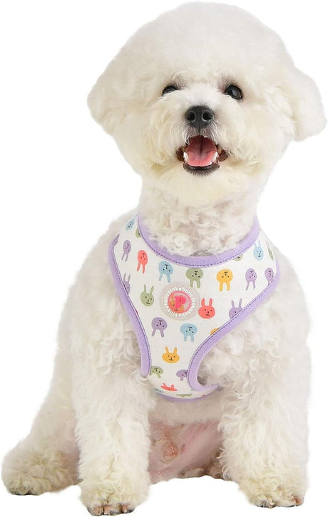 Pinkaholic Hopper Harness purple hondentuig > honden harnas > model A Small