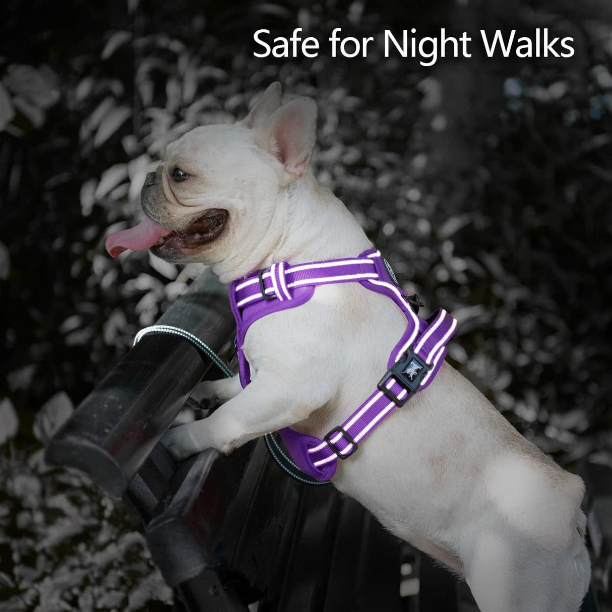 Frenkiez  Y tuig dogharness reflective Purple ( matching straps ) - Premium hondentuig > honden harnas from Frenkiez - Just €34.99! Shop now at Frenkiezdogshop