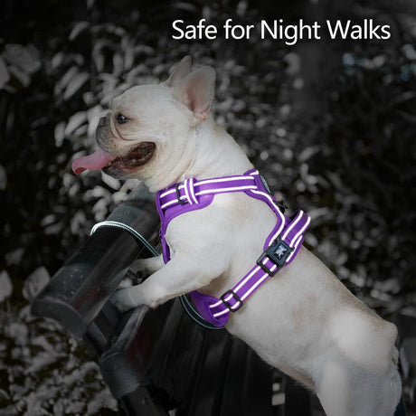 Frenkiez Y tuig dogharness reflective Purple ( matching straps ) hondentuig > honden harnas > Y tuigen Small