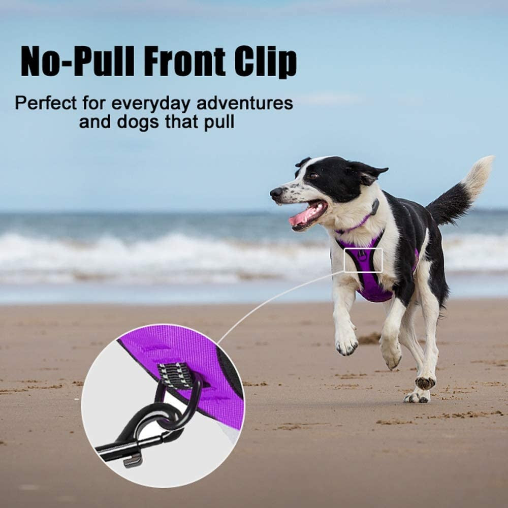 Frenkiez reflective no pull dog harness purple - Premium hondentuig > honden harnas from Frenkiez - Just €17.99! Shop now at Frenkiezdogshop