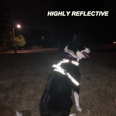 Frenkiez reflective Y tuig no pull dogharness black hondentuig > honden harnas > Y tuigen X - Small