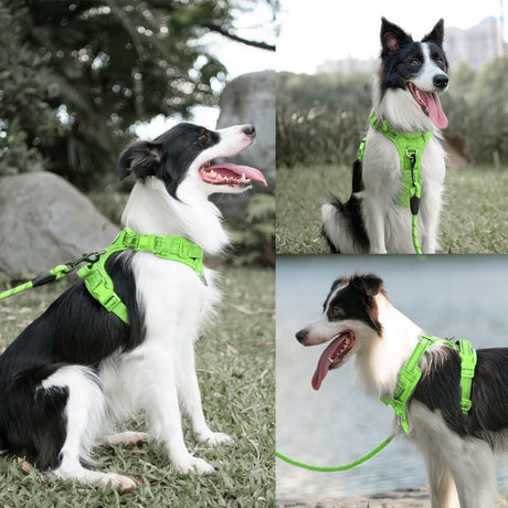 Frenkiez Y tuig dogharness reflective Neon Green ( matching straps ) hondentuig > honden harnas > Y tuigen Small