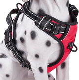 Frenkiez reflective no pull dog harness red - Premium hondentuig > honden harnas from Frenkiez - Just €19.99! Shop now at Frenkiezdogshop