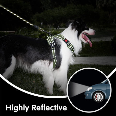 Frenkiez reflective dog leash Military Green hondenriem > hondenlijn Standaard/One Size