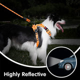 Frenkiez reflective dog leash carseatbelt orange - Premium hondenriem > hondenlijn from Frenkiez - Just €18.99! Shop now at Frenkiezdogshop