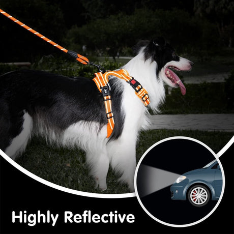 Frenkiez reflective dog leash carseatbelt orange hondenriem > hondenlijn Standaard/One Size