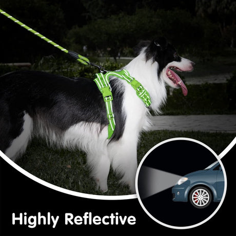Frenkiez reflective dog leash Neon Green hondenriem > hondenlijn Standaard/One Size